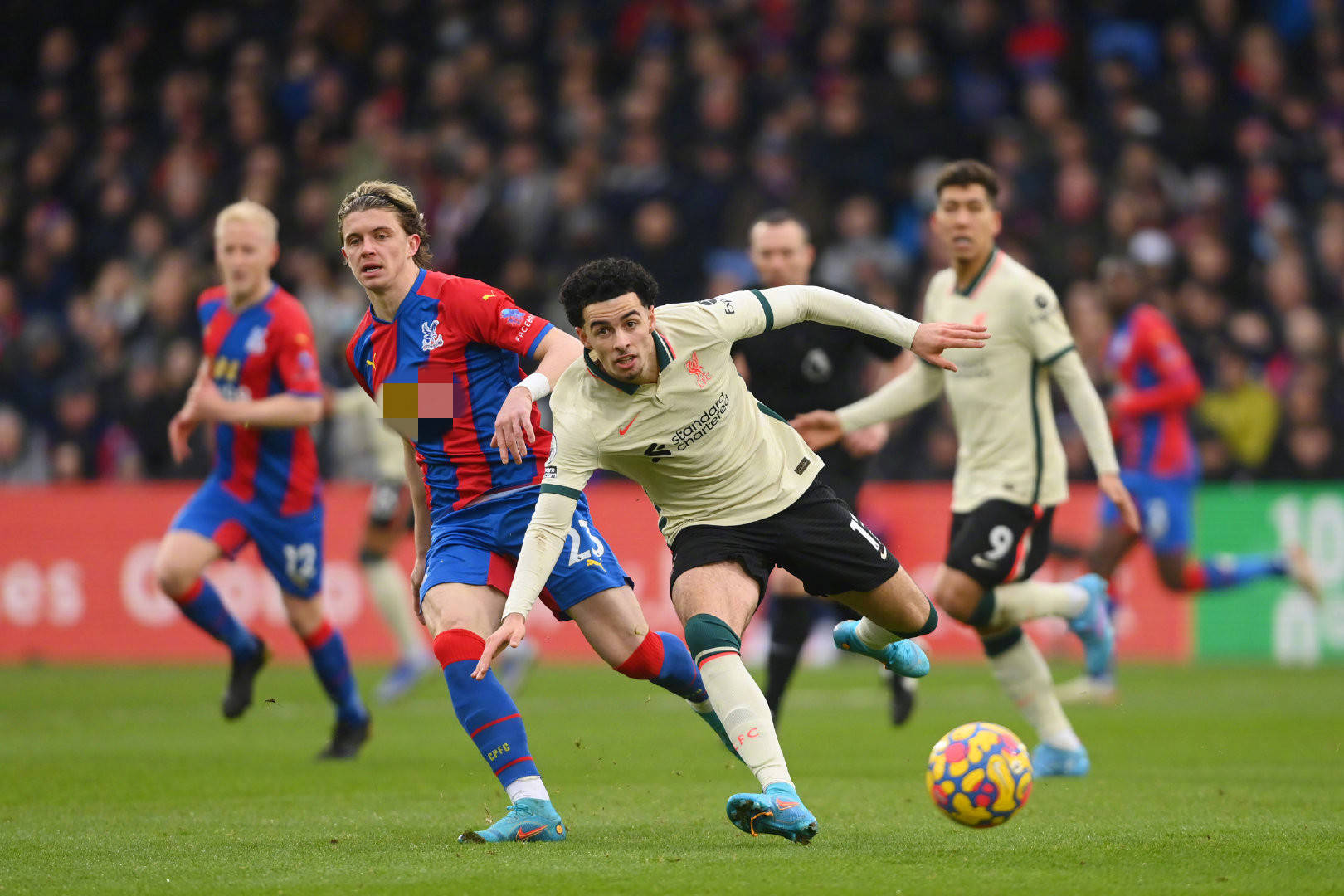 外布局正不 外布局正不